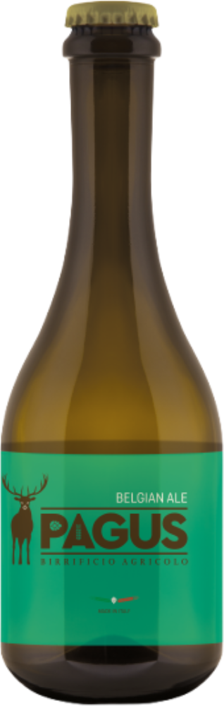 Belgian Ale